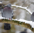 Погодный шок для Подмосковья: когда на регион обрушится самый сильный мокрый снег? - Regions.Ru